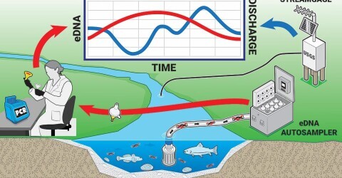 Smith-Root eDNA Autosampler tested in new USGS READI-Net study